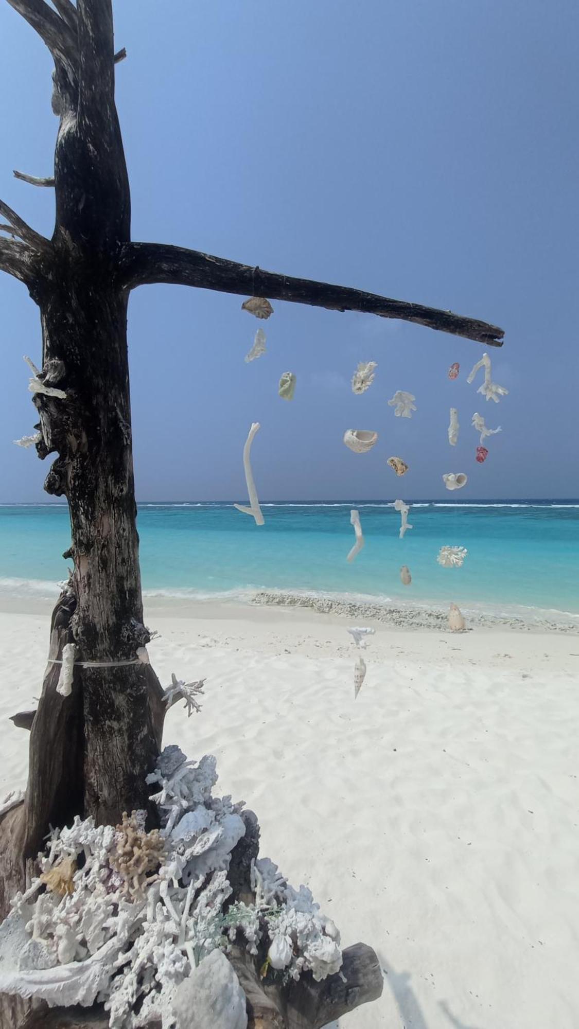 Ahiva Village Fulhadhoo Extérieur photo